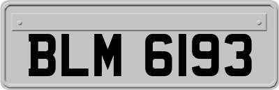 BLM6193