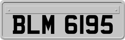 BLM6195