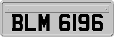 BLM6196