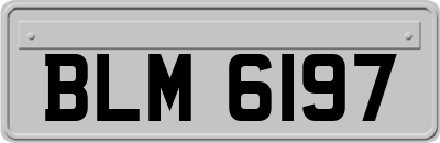 BLM6197
