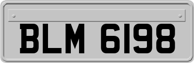 BLM6198