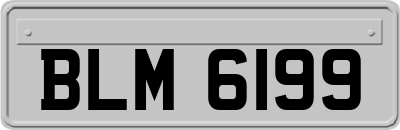 BLM6199