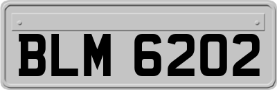 BLM6202
