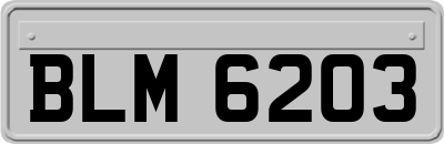 BLM6203