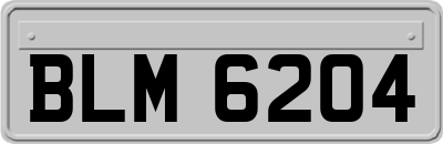 BLM6204