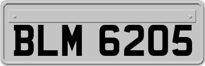 BLM6205