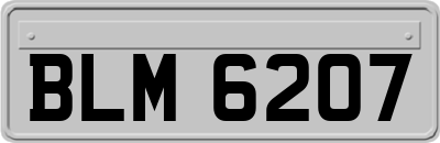 BLM6207