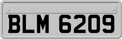 BLM6209