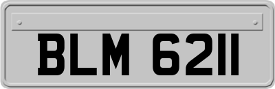 BLM6211