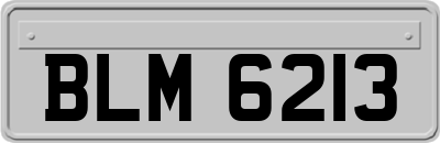 BLM6213