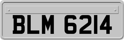 BLM6214