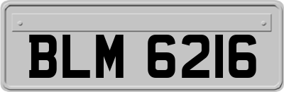 BLM6216