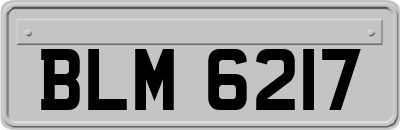 BLM6217