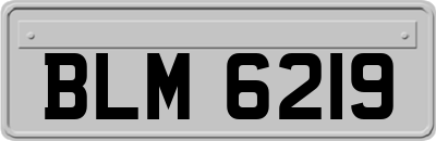 BLM6219