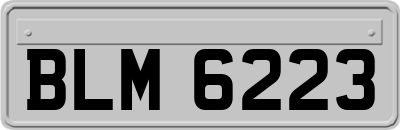 BLM6223