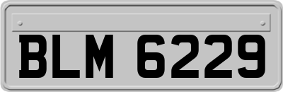 BLM6229