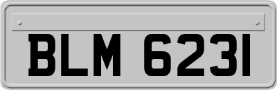 BLM6231