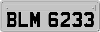 BLM6233
