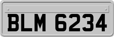 BLM6234
