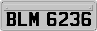 BLM6236