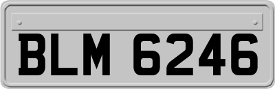 BLM6246