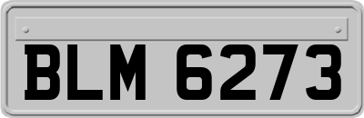 BLM6273