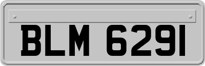 BLM6291