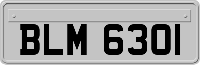 BLM6301