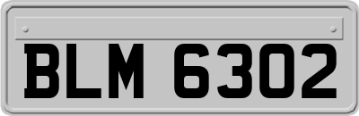 BLM6302