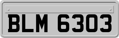 BLM6303