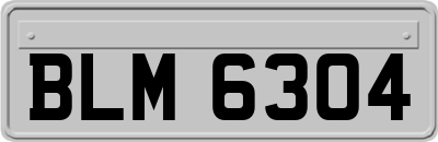 BLM6304