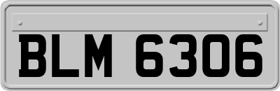 BLM6306