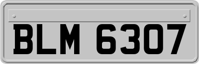 BLM6307