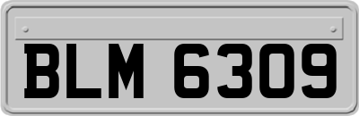 BLM6309