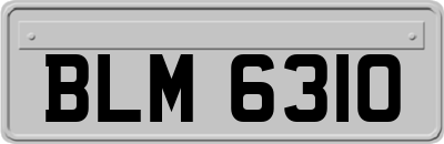 BLM6310