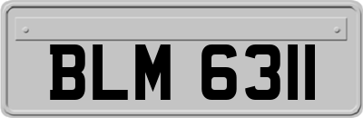 BLM6311