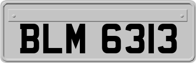 BLM6313