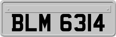 BLM6314