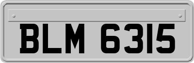 BLM6315