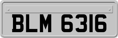 BLM6316