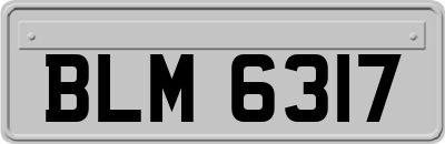 BLM6317
