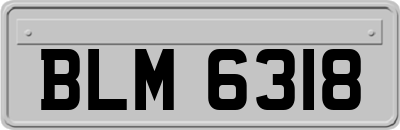 BLM6318