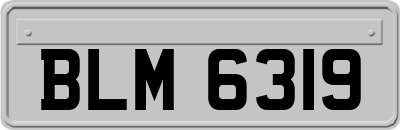 BLM6319