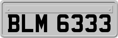 BLM6333