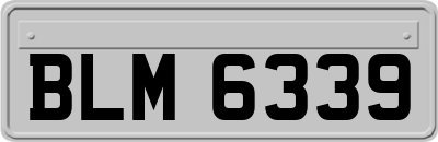 BLM6339