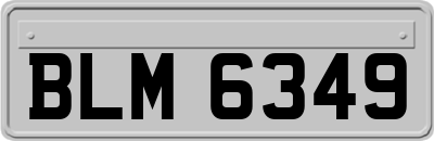 BLM6349