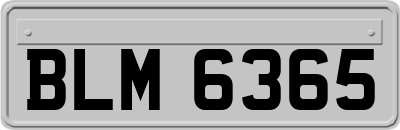 BLM6365