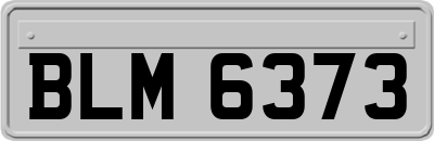 BLM6373