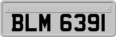 BLM6391
