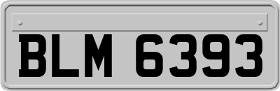 BLM6393